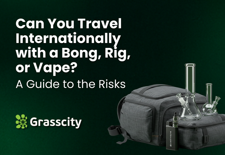 Can You Travel Internationally with a Bong, Rig, or Vape? A Guide to the Risks