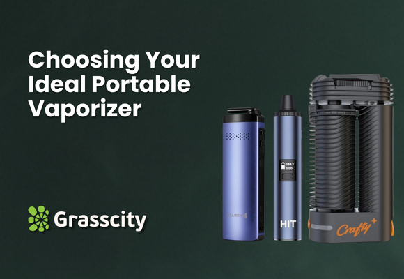 Choosing Your Ideal Portable Vaporizer