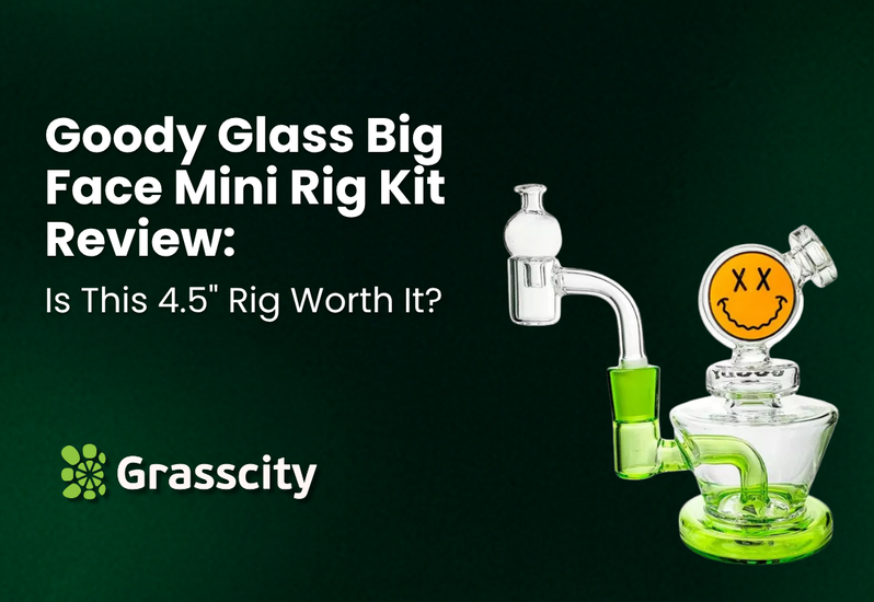 Goody Glass Big Face Mini Rig Review (2025)