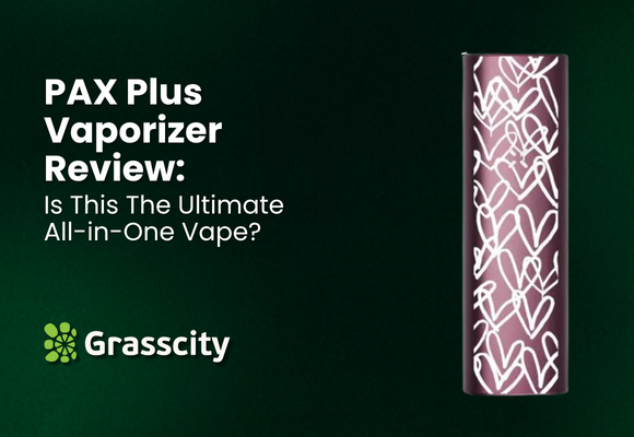 PAX Plus Vaporizer Review: Is This The Ultimate All-in-One Vape?