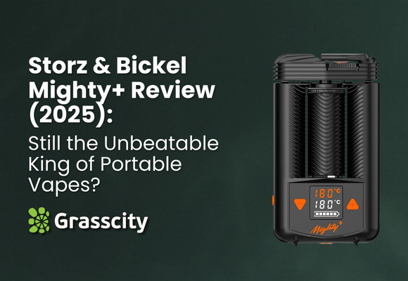Storz & Bickel Mighty+ Review (2025): Still the Unbeatable King of Portable Vapes?