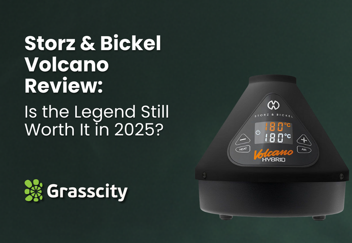 Storz & Bickel Volcano Review: Is the Legend Still Worth It in 2025?