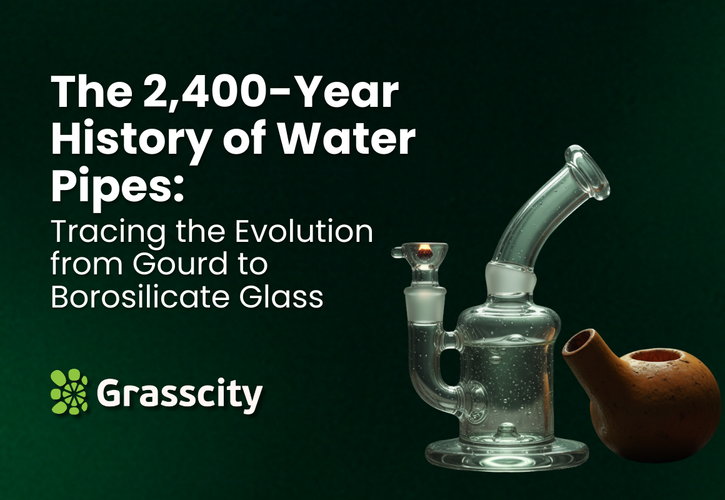 The 2,400-Year History of Water Pipes: Tracing the Evolution from Gourd to Borosilicate Glass