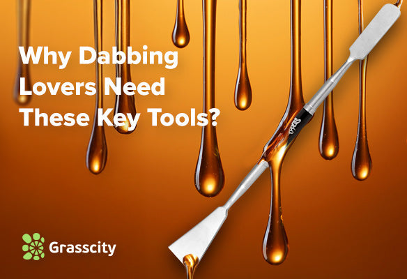 Why Dabbing Lovers Need These Key Tools?