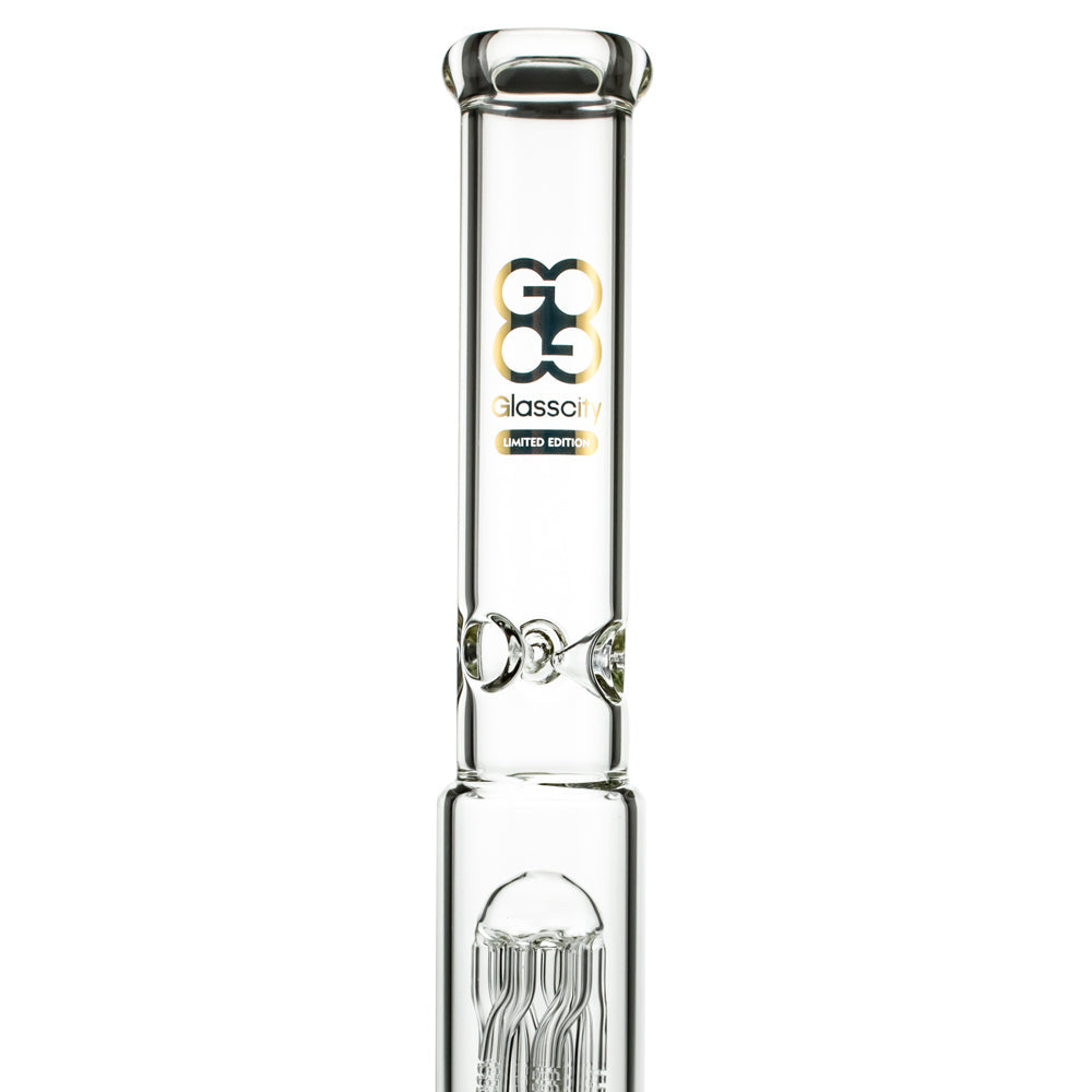 Glasscity Limited Edition Beaker Ice Bong with Twisted Tree Perc | stem